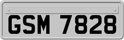 GSM7828