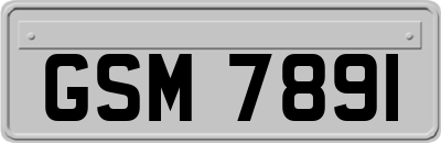 GSM7891