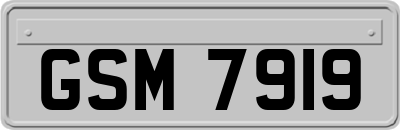 GSM7919
