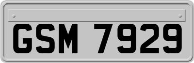 GSM7929
