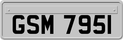 GSM7951