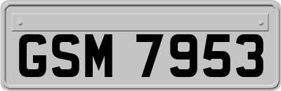 GSM7953