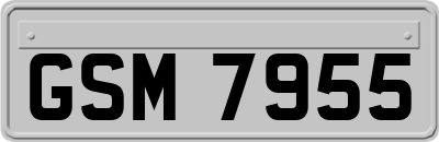 GSM7955