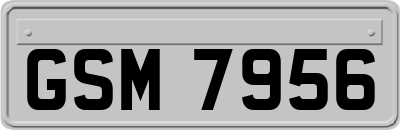 GSM7956