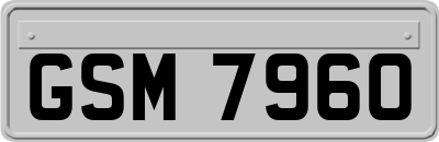 GSM7960