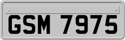 GSM7975