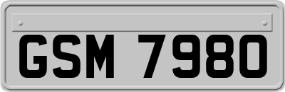 GSM7980