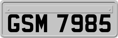 GSM7985