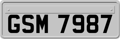 GSM7987
