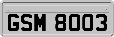 GSM8003