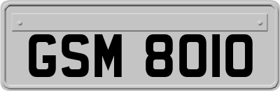 GSM8010