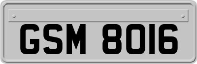 GSM8016