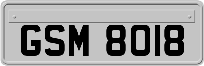 GSM8018