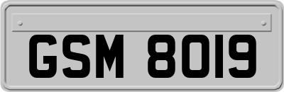 GSM8019