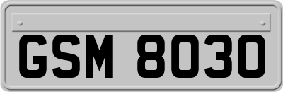 GSM8030