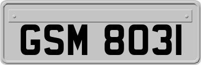 GSM8031