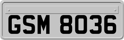GSM8036