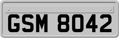 GSM8042