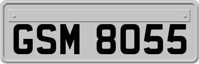 GSM8055
