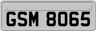 GSM8065