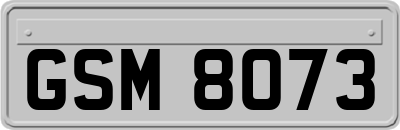 GSM8073
