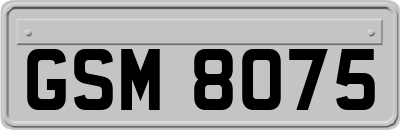GSM8075