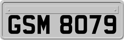GSM8079