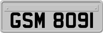 GSM8091