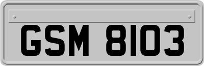 GSM8103