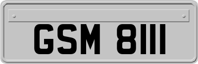 GSM8111