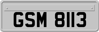 GSM8113