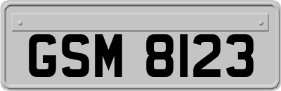 GSM8123