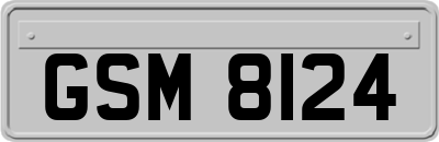 GSM8124