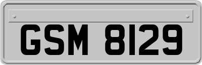 GSM8129