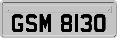 GSM8130