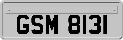 GSM8131