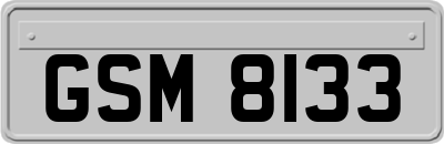 GSM8133