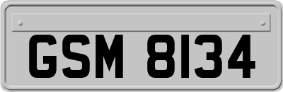 GSM8134