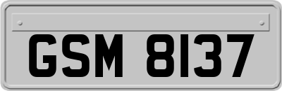 GSM8137