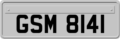GSM8141