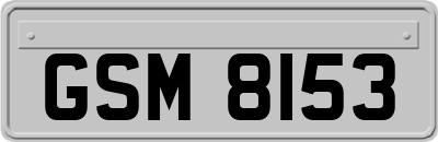 GSM8153