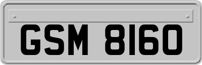 GSM8160