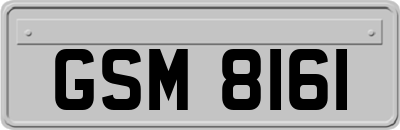 GSM8161