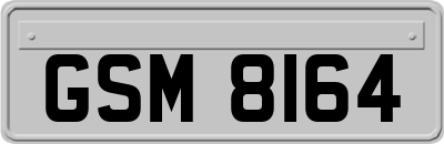 GSM8164