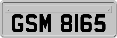 GSM8165