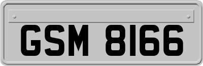 GSM8166