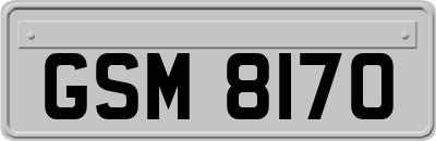 GSM8170