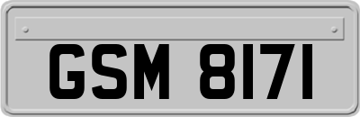 GSM8171