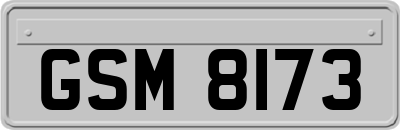 GSM8173
