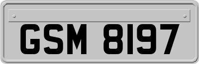 GSM8197